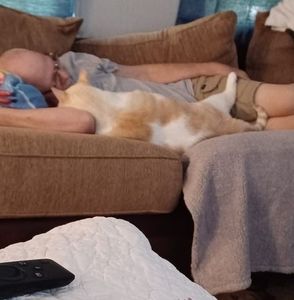 Meet your Posher, Guy